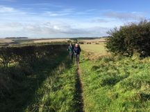 Cottam 20201007 27