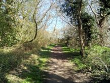 Cottingham (South) IMG_20200407_103550