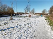 Cottingham_20210211