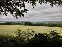 Elloughton 20210714 2