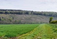 Hovingham IMG-20240505(4)