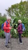 Huggate Triffid May2023