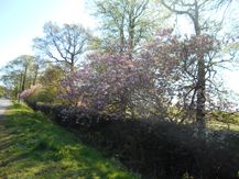 Keldgate 