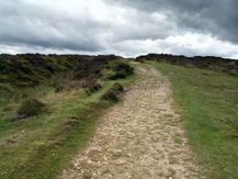 Levisham Moor 20200630