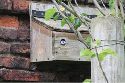 MilleniumOrchard, Beverley 2 20200517