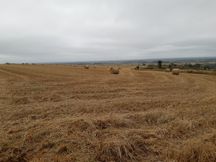Millington 20200916_111458