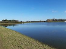 Orchard Park Lagoon 20210227_111129