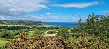 Ravenscar Jul 2023c