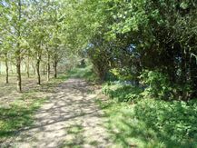 Skidby Lakes (2)