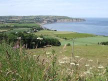 WMW Ravenscar to Robin Hoods Bay July 2021  (12)