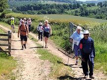 WW Hovingham June 2023 (2)