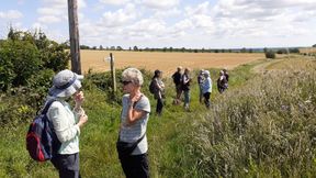 WW North Dalton July 2024 (4)