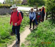 WW Towthorpe Picnic Area April 2025 (18)