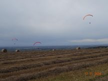 WW Warter November 2024 (27)