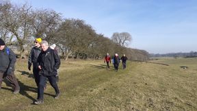 WoldNewton2
