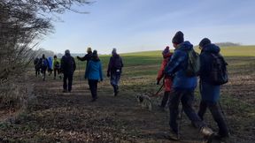 WoldNewton3