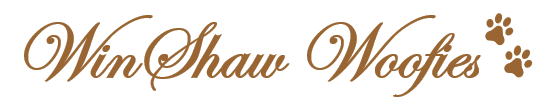 Luxury Dog Boarding & Day Care