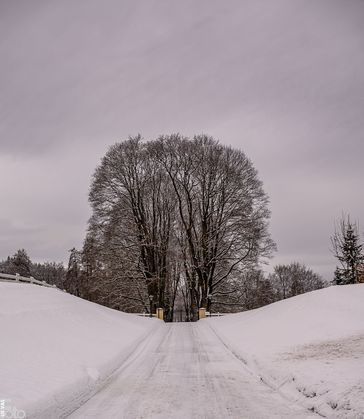 VWI_5834