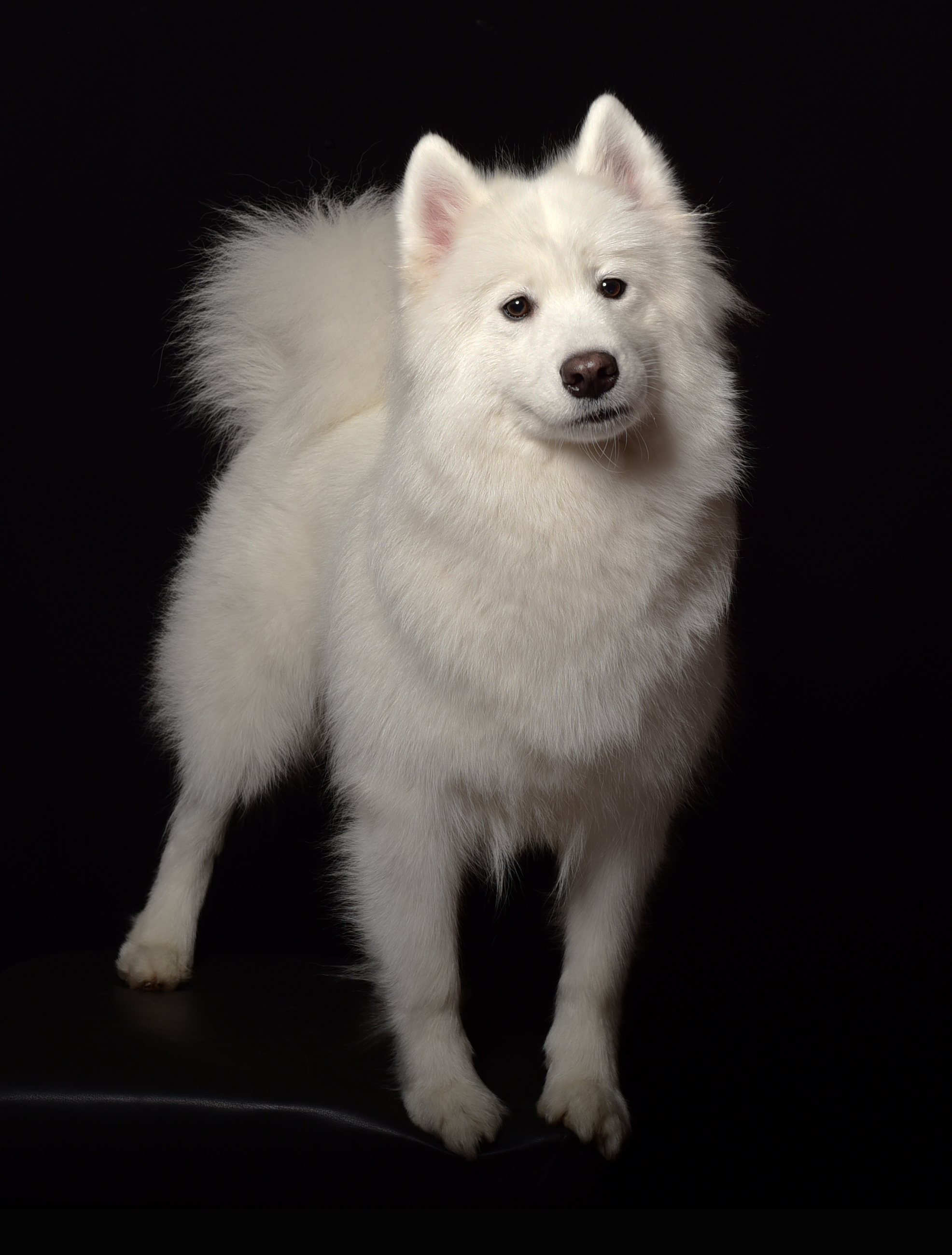 DSC_1891