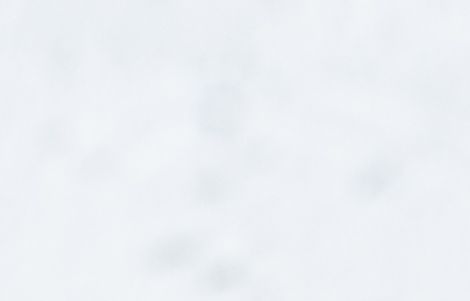 shutterstock_1866500257