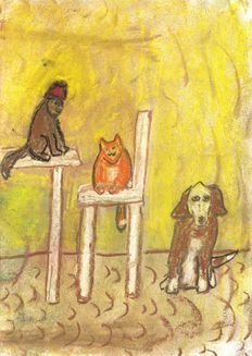 Monkey, cat, dog