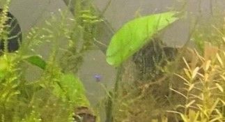 EKOSYSTEM for several years maintenance-free aqua under needed professional supervision