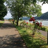 der Rhein