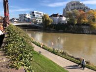 die Donau - braun