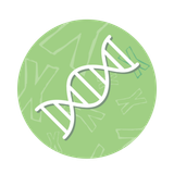 Genetics
