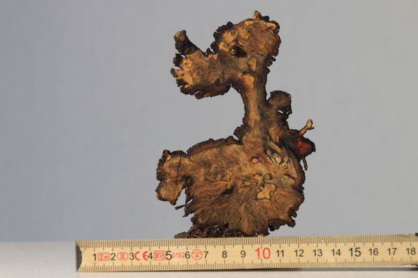 wooddog_03