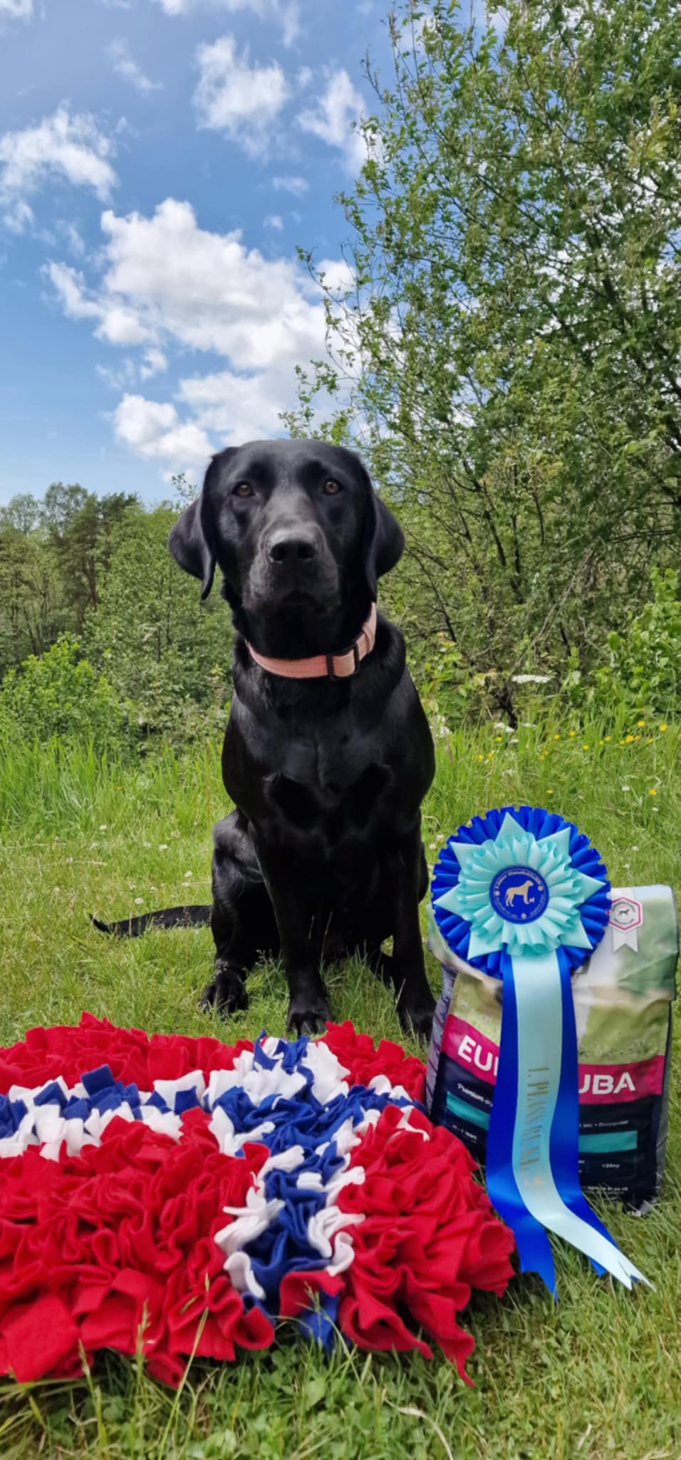 d2672c02-d7ec-4956-a1c2-7c71f2545c27