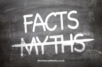 Facts about VivaMK that count