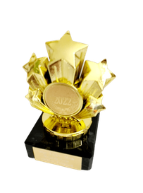 Front Row Rising Star Award VivaMK