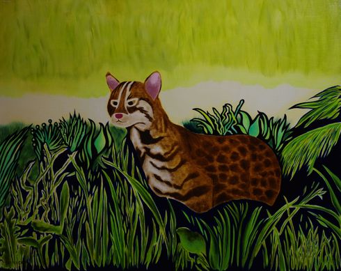 Big leopard cat
