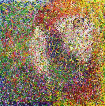 Colorful Watcher  