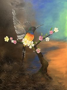 Renewed Hope