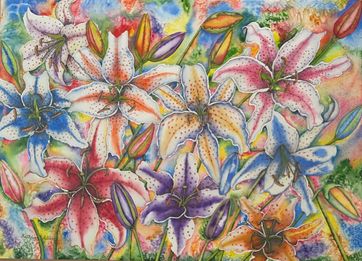 Stargazer Fantasy