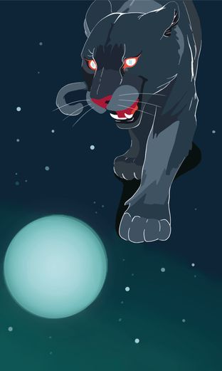 playful_panther