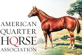 AQHA