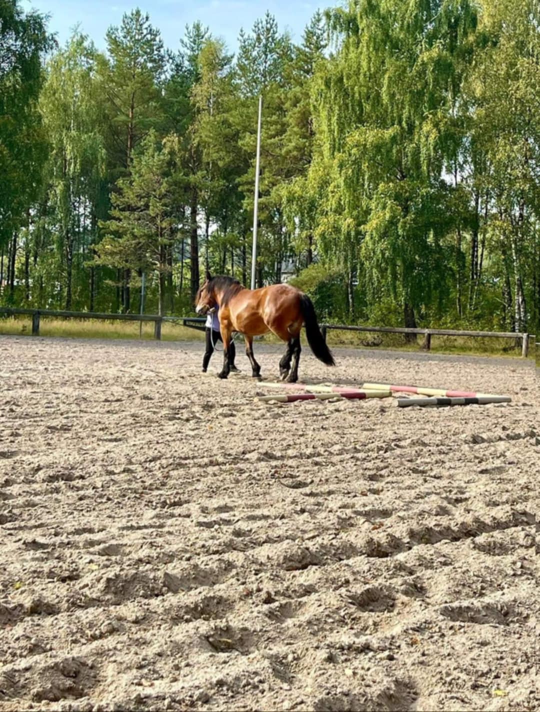 0b5b655d-1411-4798-ab91-e366b2f070fb