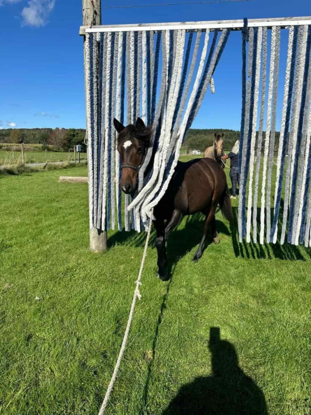 0bb64f5b-13e6-440c-bc36-aab6d8a4f9cb