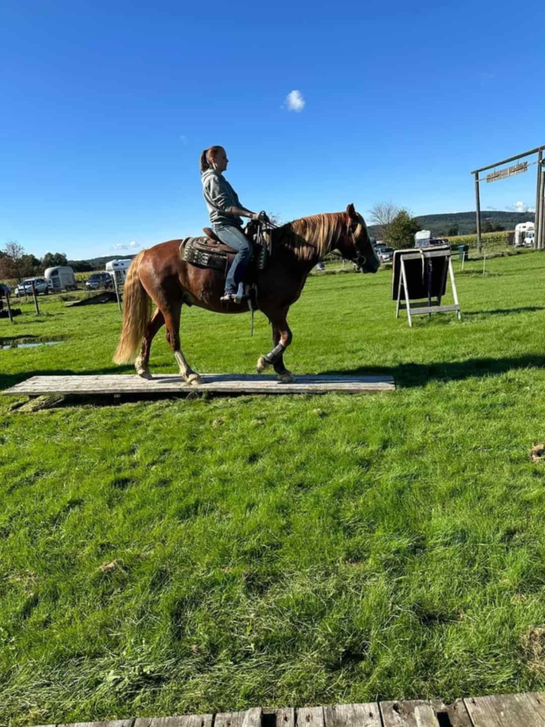 1219fa61-521d-4088-8e19-865de21fd91c