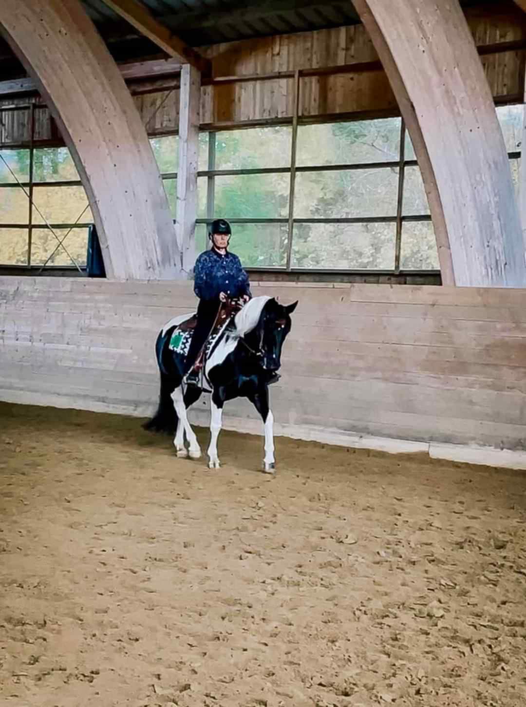 1339e4bb-6172-4761-9350-feea86d57772