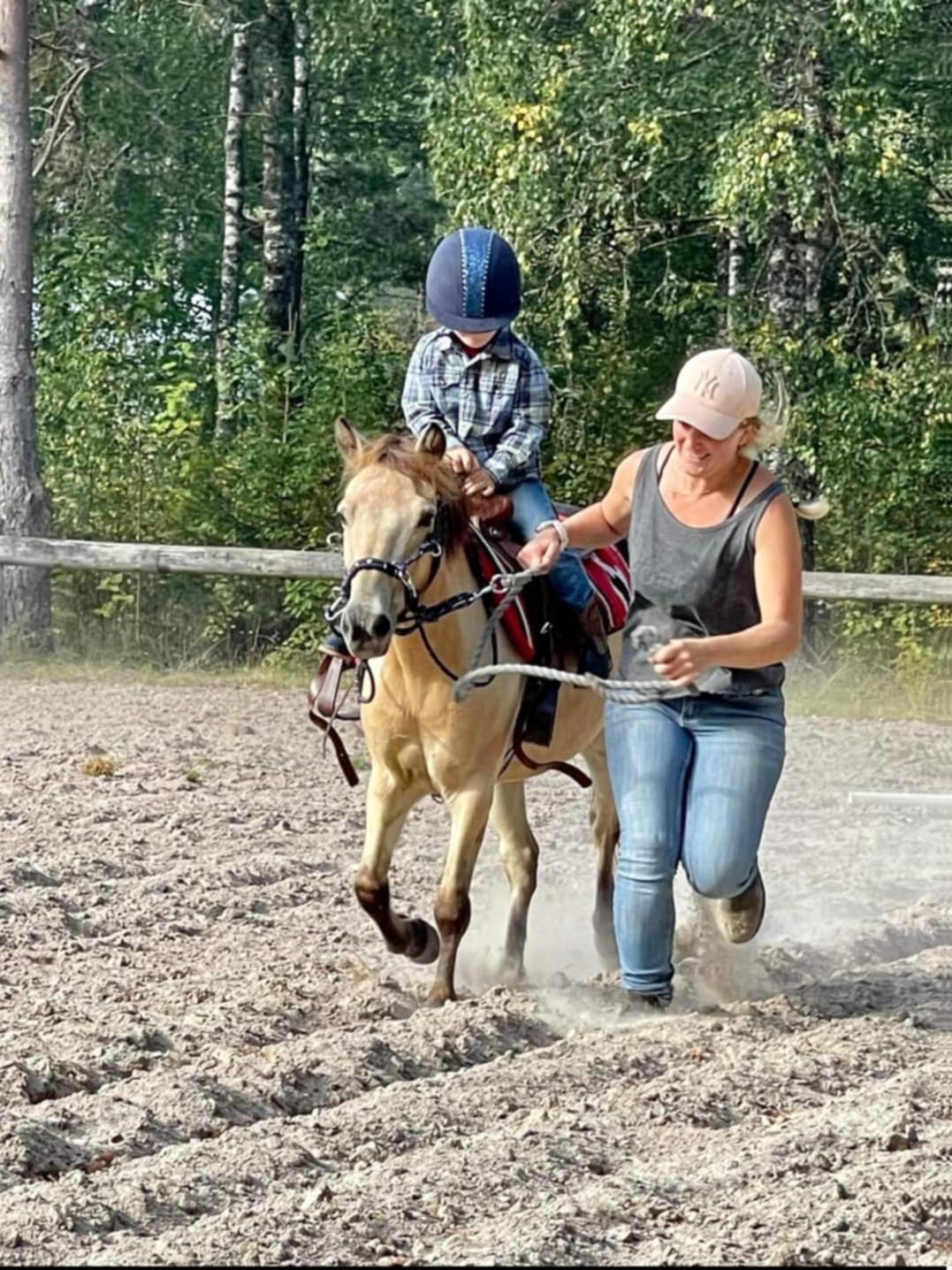 16cb3db2-3f98-473a-bcaa-6878cd441ee8