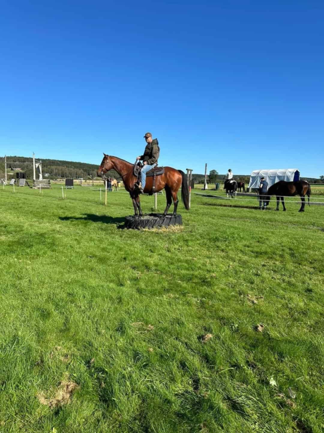 1d6a67e0-d088-42e8-b0c0-c5e1ab3fe88b