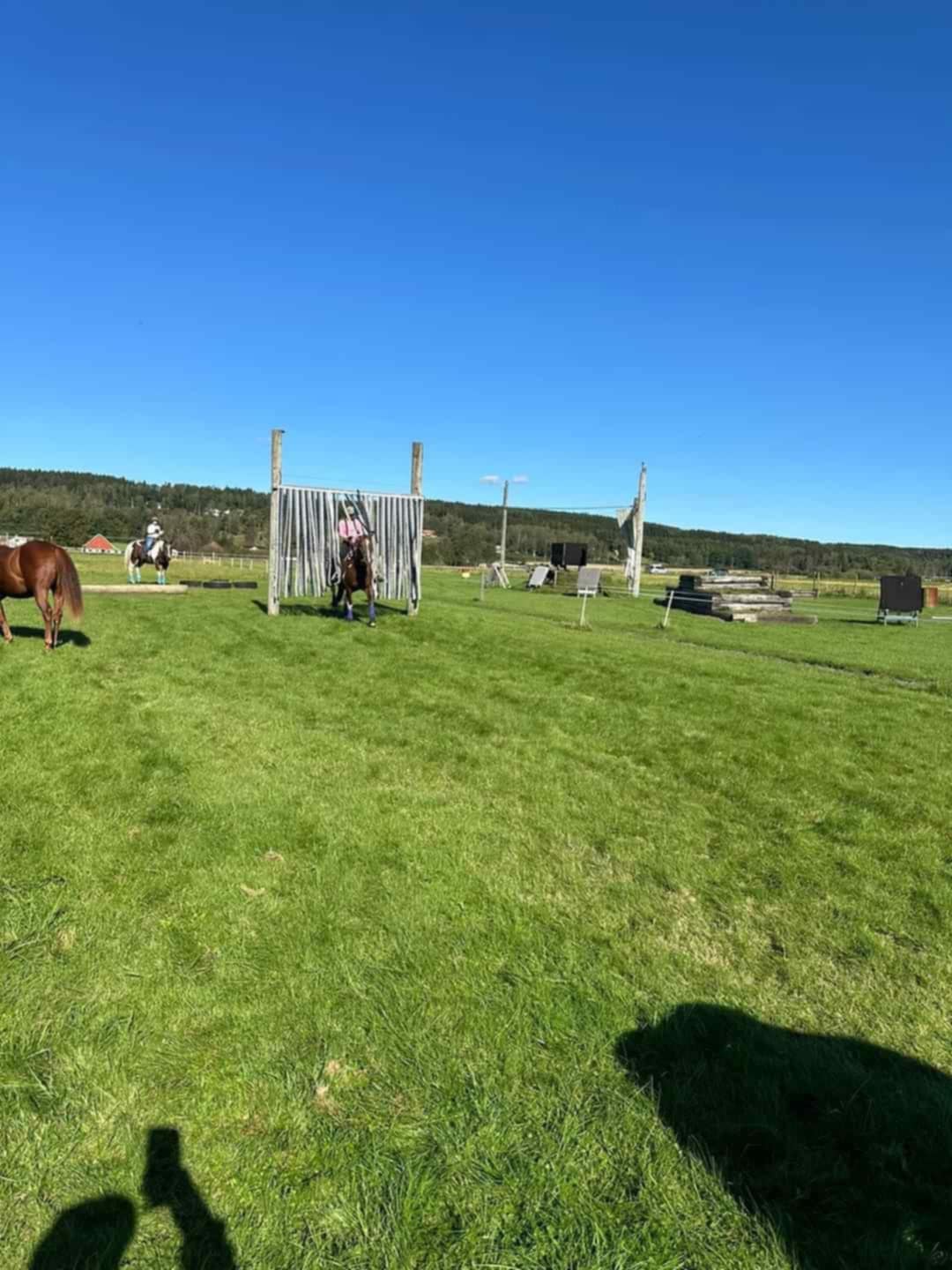 1fa21ff6-27f6-4a35-a771-c5e107bc4d13