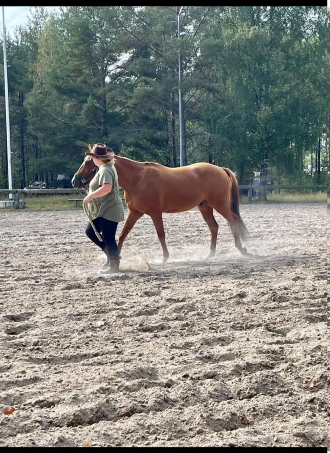 2f1d2b75-de71-4435-809a-f511653b6f0e