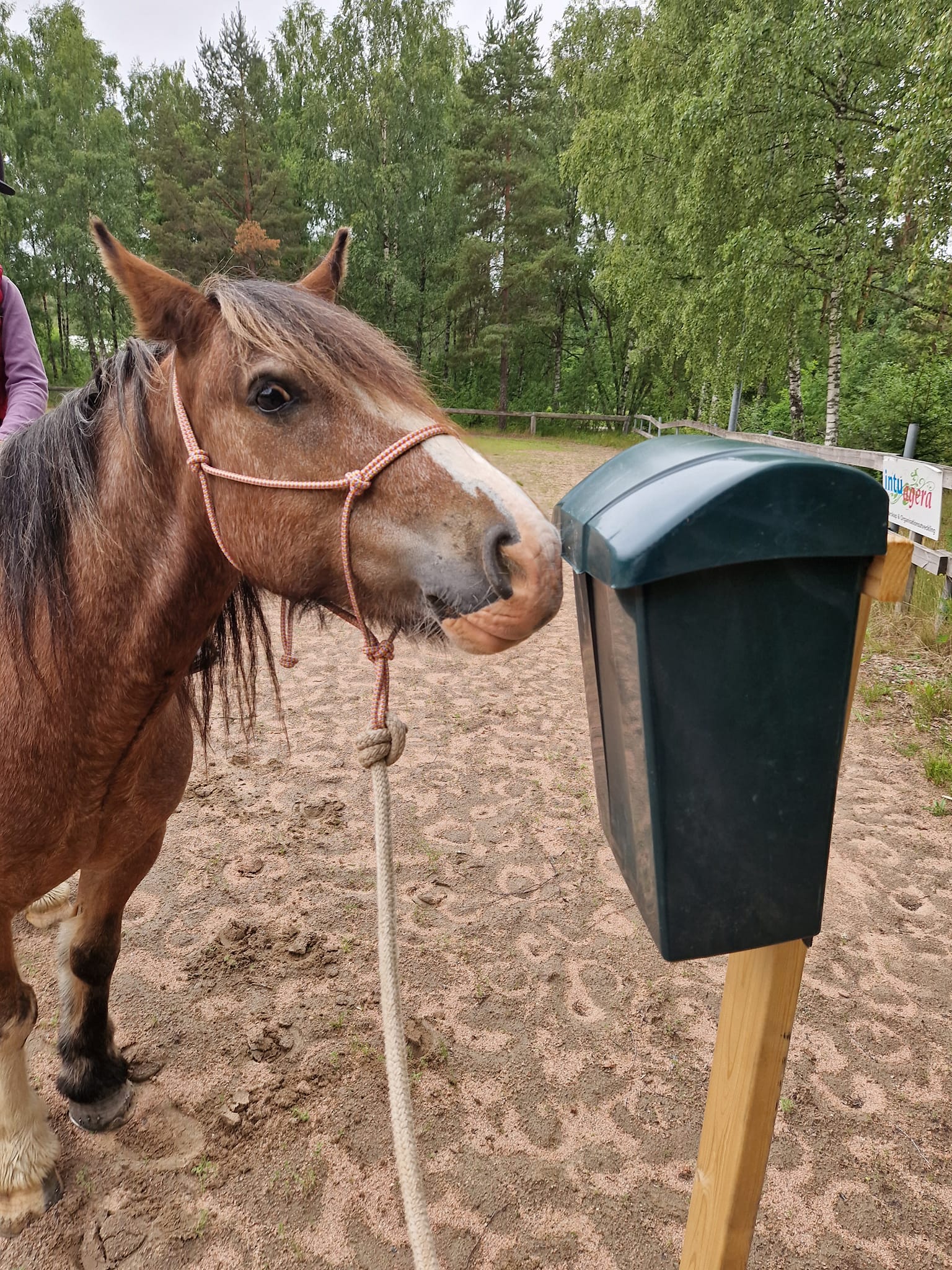 359711720_10162871045589622_457108002010108421_n