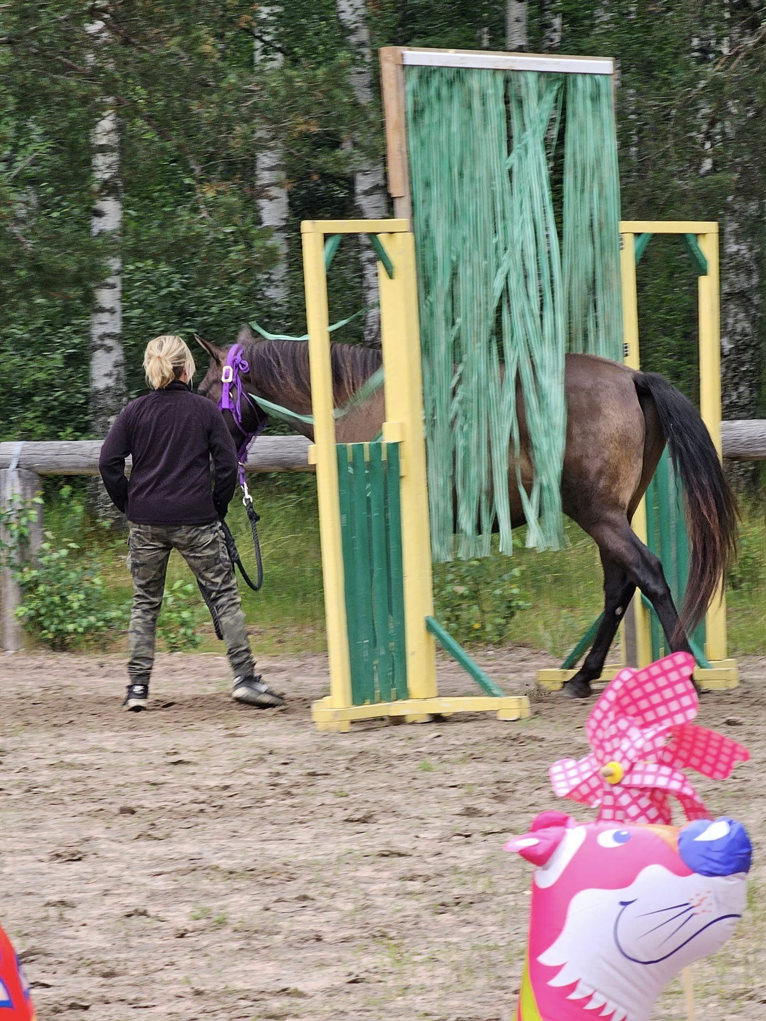 359775817_6526479630743253_3855380122717595222_n