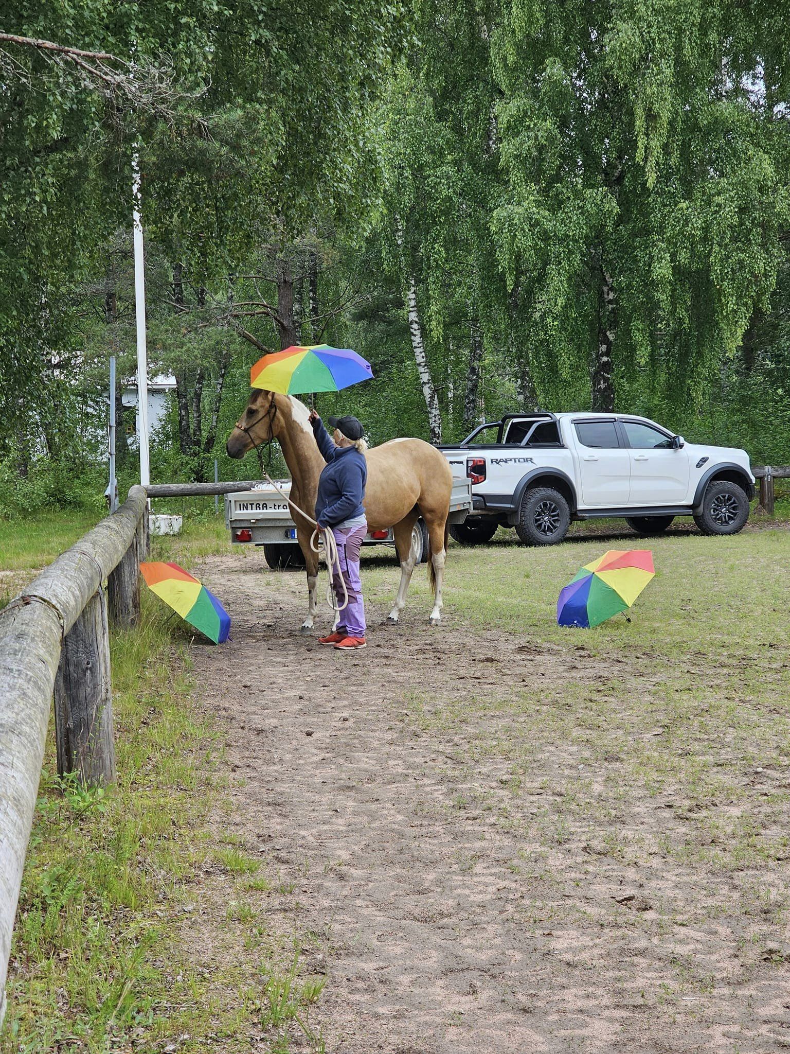 359841403_6526479870743229_5589003069213796982_n